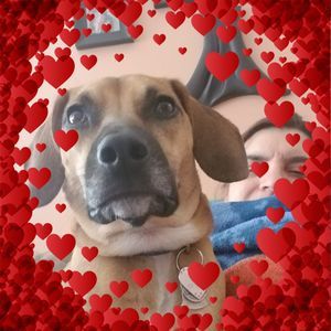 Meet your Posher, Cari